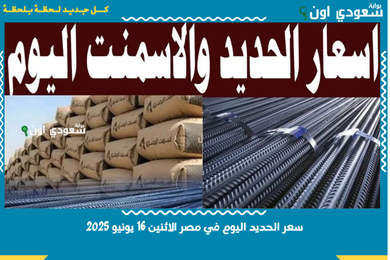 سعر الحديد اليوم في مصر الاثنين 16 يونيو 2025